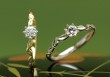 ひな セットリング: 金色の葉 ひな セットリング: 金色の葉