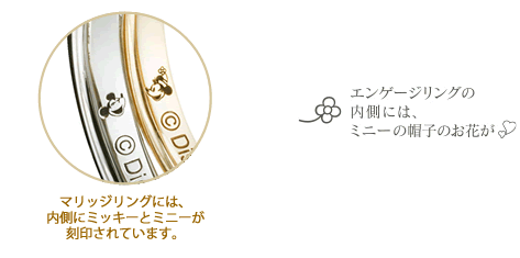 desney_setsumei_02