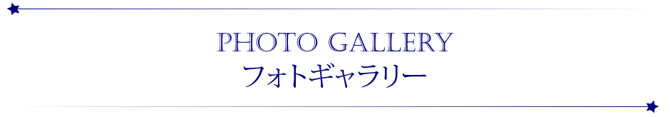 フォトギャラリー
