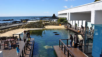 大阪のサプライズプロポーズ 串本海中公園