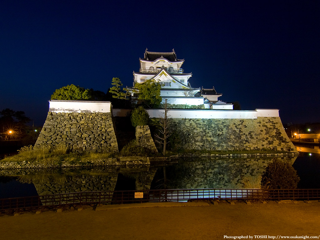 大阪のサプライズプロポーズ 岸和田城