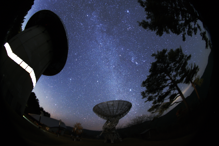 大阪のサプライズプロポーズ 星の動物園　みさと天文台
