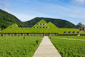 大阪gardenのサプライズプロポーズ 近江八幡　花の水郷巡り　船上での思い出作り