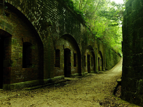 大阪のサプライズプロポーズ 和歌山のラピュタ島