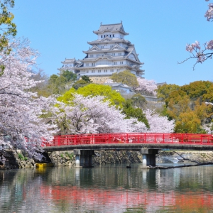 大阪のサプライズプロポーズ 姫路城