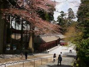 大阪gardenのサプライズプロポーズ 比叡山・ガーデンミュージアム比叡