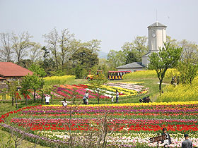 大阪gardenのサプライズプロポーズ 京都府農業公園