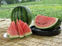 スイカ