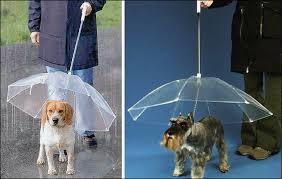 ペット傘