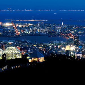 大阪gardenのサプライズプロポーズ 神戸布引ハーブ園/ロープウェイ