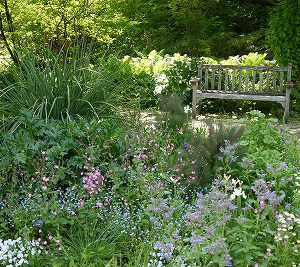 大阪gardenのサプライズプロポーズ 西宮市北山緑化植物園