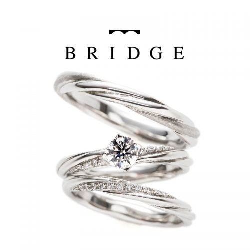 BRIDGE_bond plecius set-01