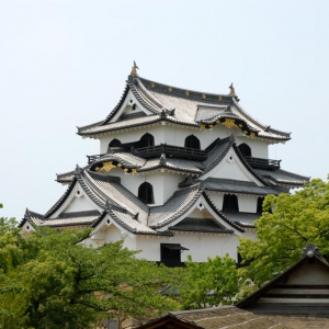 大阪のサプライズプロポーズ 彦根城