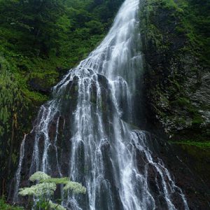 大阪gardenのサプライズプロポーズ 百間滝