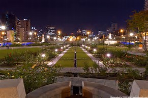 大阪gardenのサプライズプロポーズ 中之島公園 バラ園