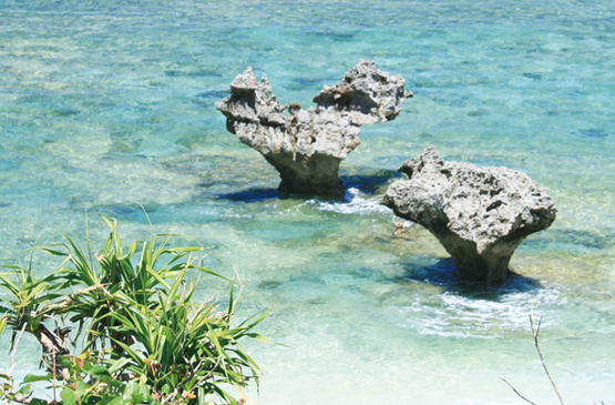 大阪のサプライズプロポーズ 古宇利島