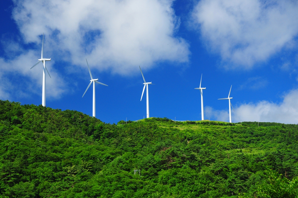 大阪のサプライズプロポーズ 大川原高原
