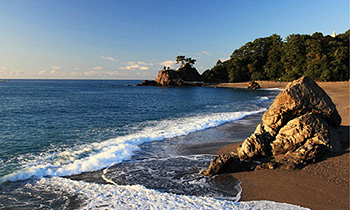 大阪のサプライズプロポーズ 桂浜