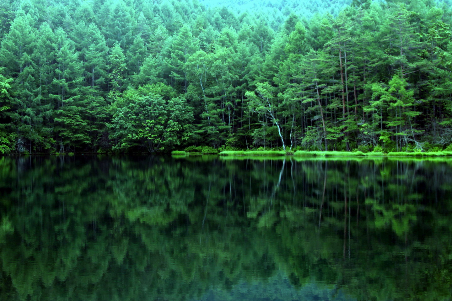 大阪のサプライズプロポーズ 御射鹿池