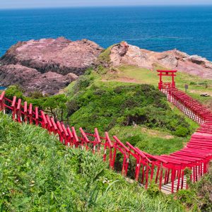 大阪gardenのサプライズプロポーズ 元乃隅稲成神社