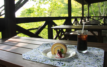 大阪のサプライズプロポーズ 六甲高山植物園