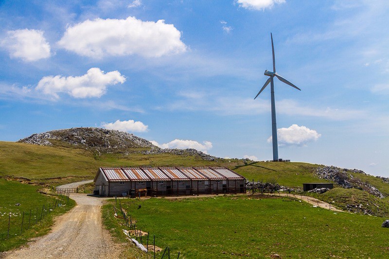 大阪のサプライズプロポーズ 四国カルスト