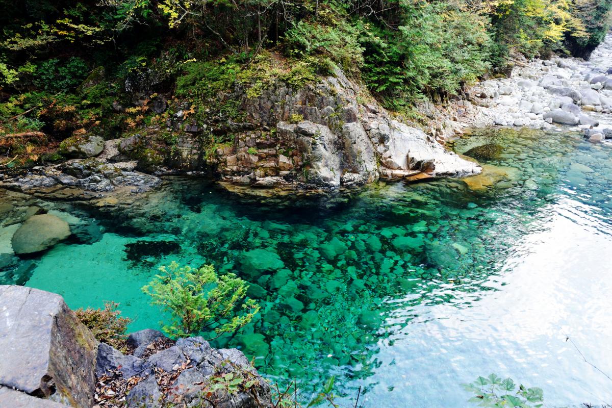大阪のサプライズプロポーズ 阿寺渓谷