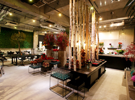 大阪のサプライズプロポーズ よみうりランド ジュエルミネーション