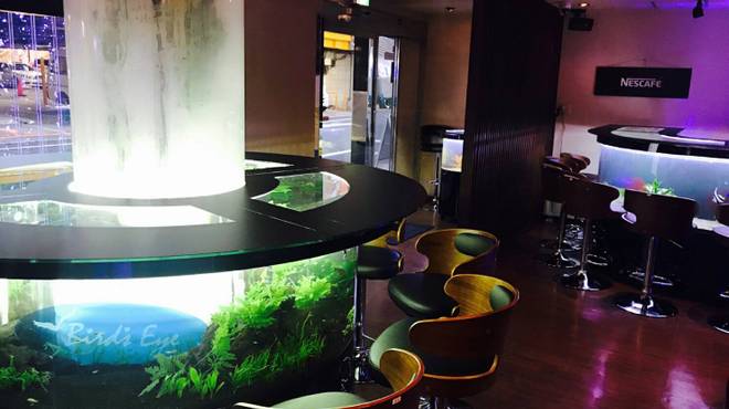 大阪のサプライズプロポーズ Birds Eye