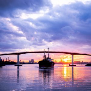 大阪gardenのサプライズプロポーズ 中の島大橋