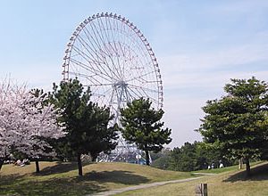 大阪gardenのサプライズプロポーズ 葛西臨海・海浜公園