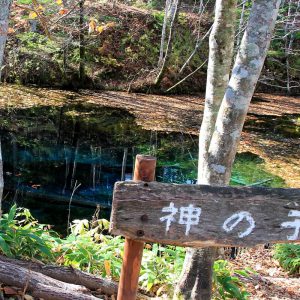 大阪gardenのサプライズプロポーズ 神の子池