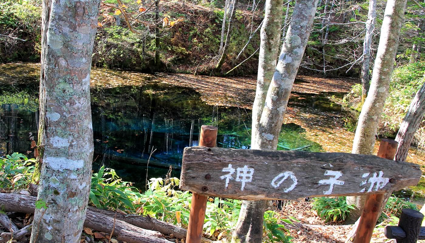 大阪のサプライズプロポーズ 神の子池