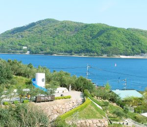 大阪gardenのサプライズプロポーズ 小豆島オリーブ園