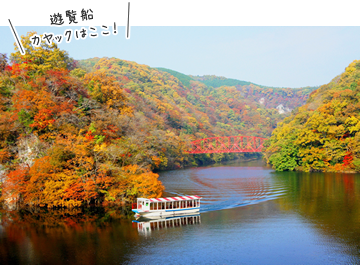 大阪のサプライズプロポーズ 帝釈峡