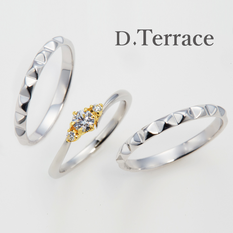 D.Terrce　ブランケットプレゼント！　1/3まで