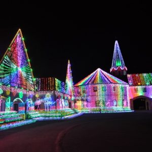 大阪gardenのサプライズプロポーズ 東京ドイツ村