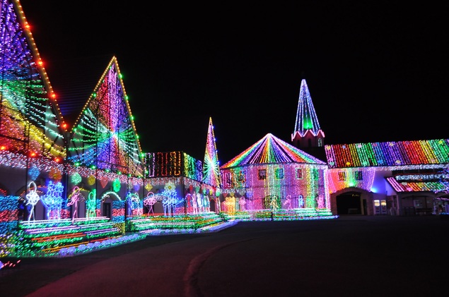 大阪のサプライズプロポーズ 東京ドイツ村