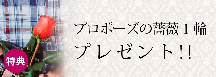 garden本店プロポーズプラン