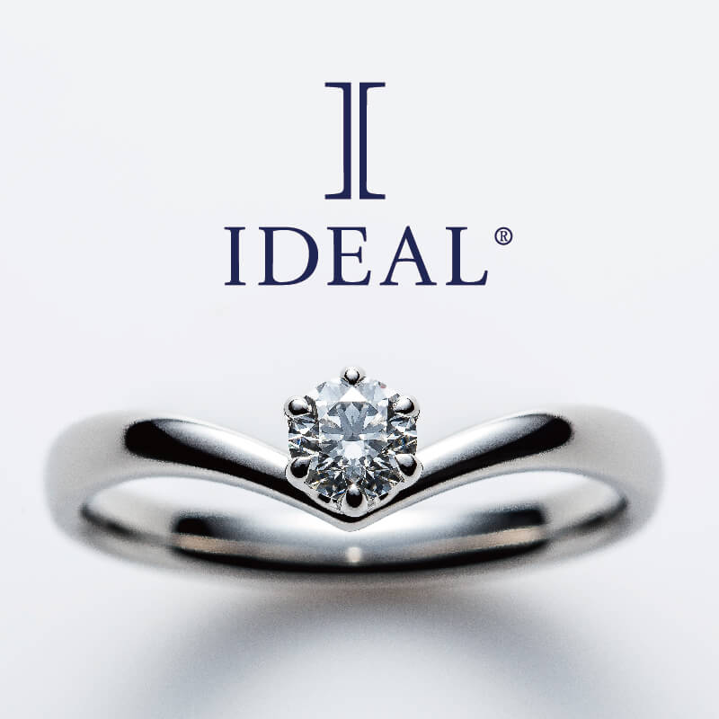 南大阪garden本店人気の鍛造製法の結婚指輪ブランドアイデアルのデザイン