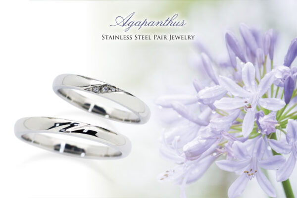 AGAPANTHUS